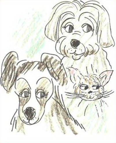 sit and stay pet care